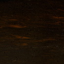V-005 Dark Wood
